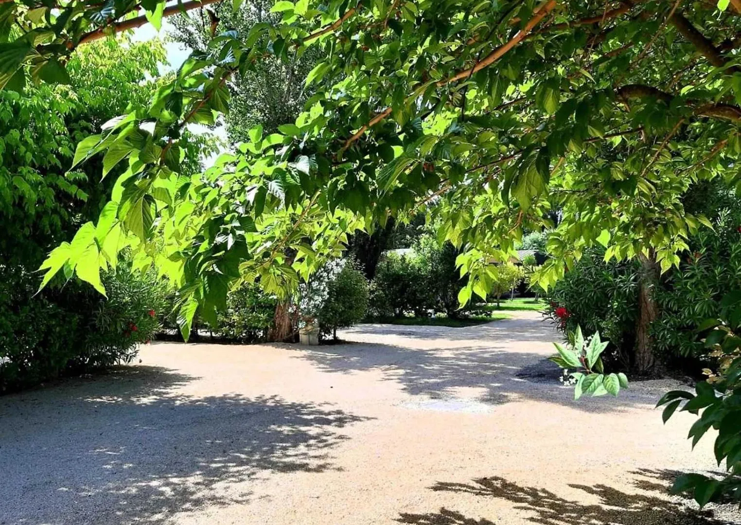 Chalet 4 Etoiles - Piscine - Eehfac Noves 0*,